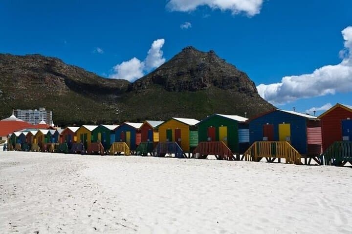 Cape Peninsula Day Tour: Bo-Kaap, Boulders Beach Penguins & Cape Point photo 6