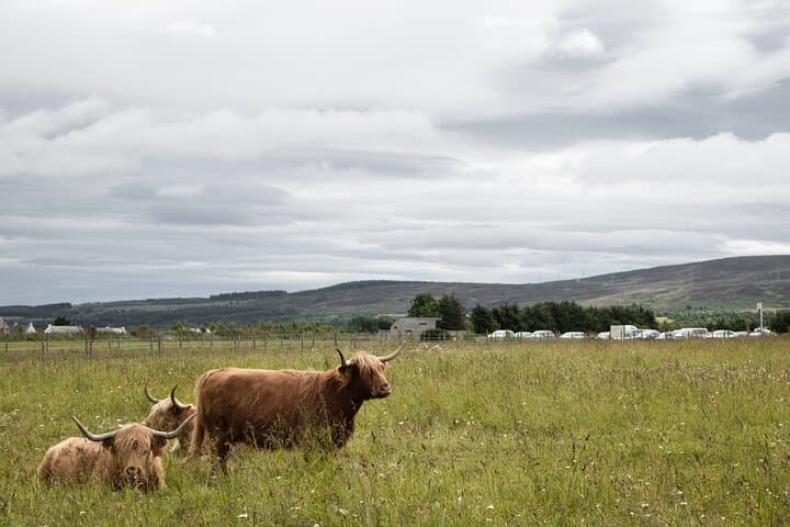 Private Full-Day Scottish Highlands & Loch Ness Tour from Edinburgh