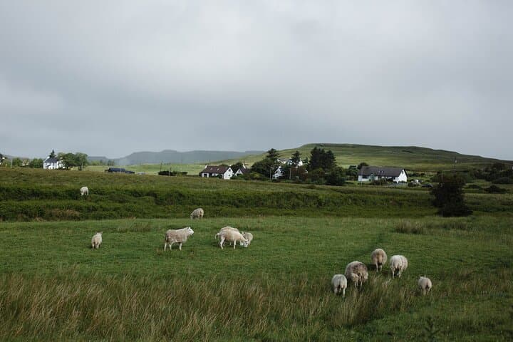 Private Full-Day Scottish Highlands & Loch Ness Tour from Edinburgh photo 5