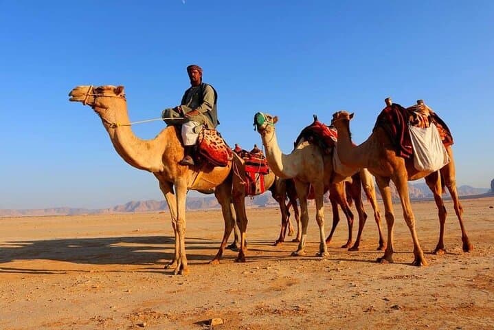 Wadi Rum Bedouin Desert Adventure: 4x4 Tours, Rock Bridges & Bedouin Tea photo 5