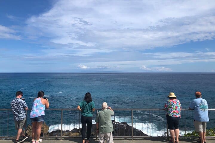 Waikiki to Oahu North Shore: Private Tour Guide — Best Stops, Timing & Tips photo 4