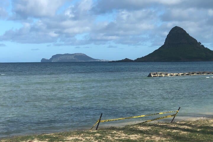 Waikiki to Oahu North Shore: Private Tour Guide — Best Stops, Timing & Tips photo 6