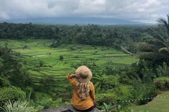 Private Bali Driver: Customize Ubud, East & South Island Tours photo 2