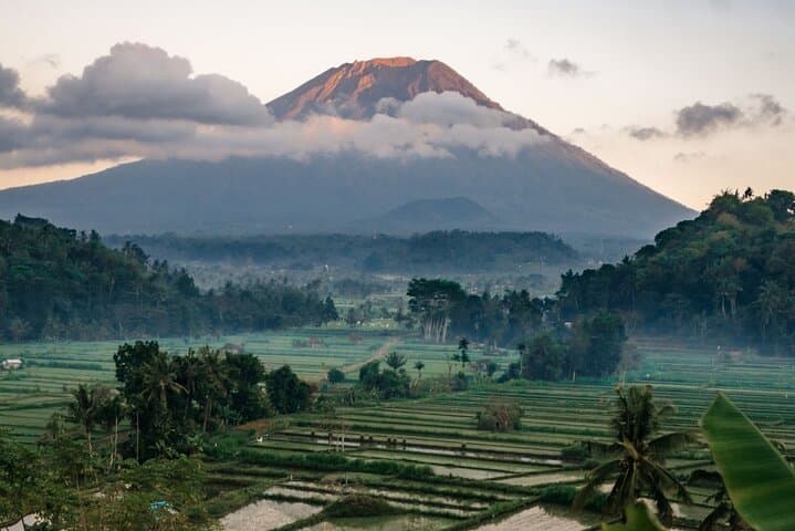 Private Bali Driver: Customize Ubud, East & South Island Tours
