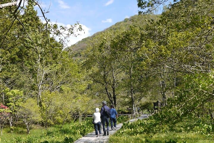 Easygoing Nature Walk in Hakone: Botanical Wetlands to Sengokuhara Pampas photo 3