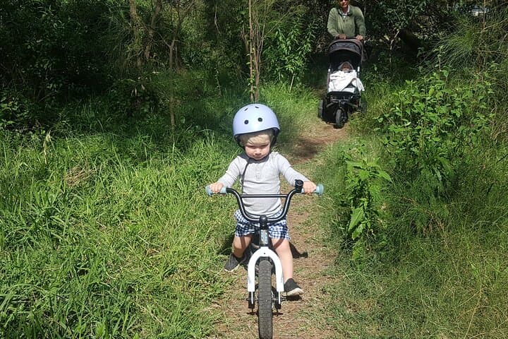 Port Douglas Bike & eBike Hire — Four Mile Beach Rides and Rainforest eMTB Tours photo 4