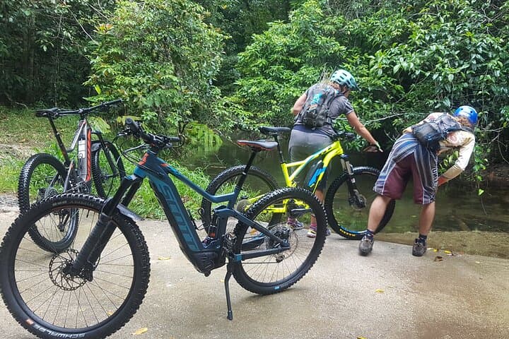 Port Douglas Bike & eBike Hire — Four Mile Beach Rides and Rainforest eMTB Tours photo 5