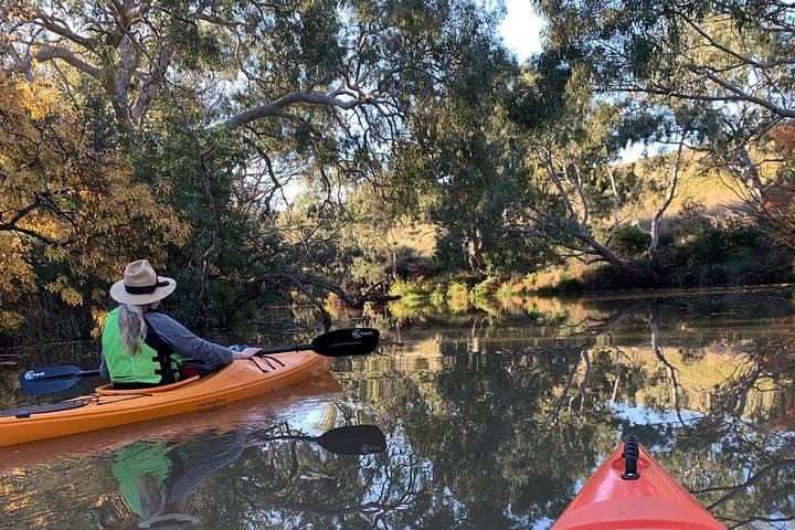 Kayaking Geelong Waterways: Highton River Paddles & Hire in Victoria