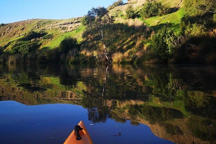 Kayaking Geelong Waterways: Highton River Paddles & Hire in Victoria photo 3
