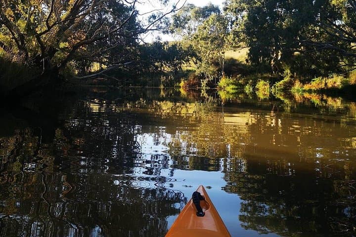 Kayaking Geelong Waterways: Highton River Paddles & Hire in Victoria photo 5