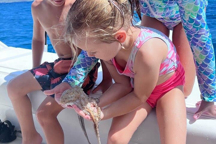 Private 3-Hour Luxury Ocean Charter from Kawaihae: Snorkel, Fish, Watch Whales photo 4