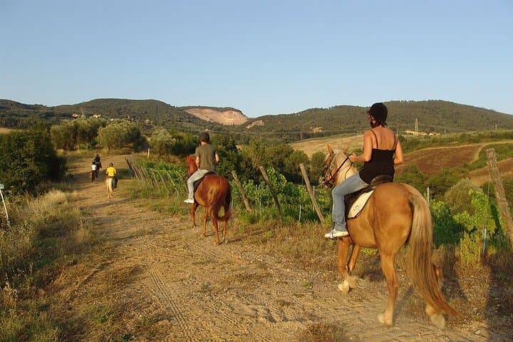 Bodrum Horse Riding Tour with Hotel Transfer — Pine Forests, Orange Groves & Gentle Rivers photo 1