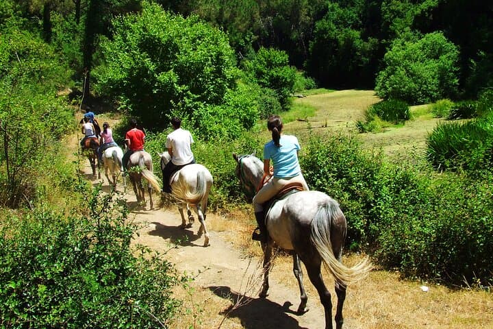 Bodrum Horse Riding Tour with Hotel Transfer — Pine Forests, Orange Groves & Gentle Rivers photo 3