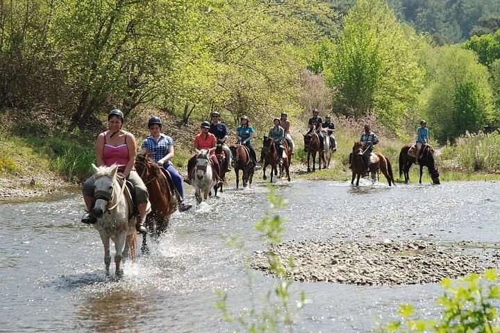 Bodrum Horse Riding Tour with Hotel Transfer — Pine Forests, Orange Groves & Gentle Rivers photo 2