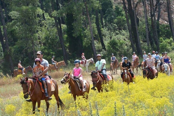 Bodrum Horse Riding Tour with Hotel Transfer — Pine Forests, Orange Groves & Gentle Rivers photo 4