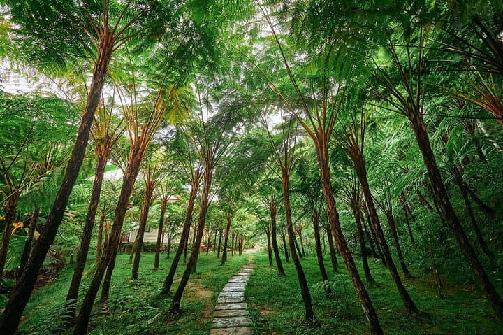 Full-Day Doi Inthanon Adventure from Chiang Mai: Peaks, Pagodas & Waterfalls photo 3