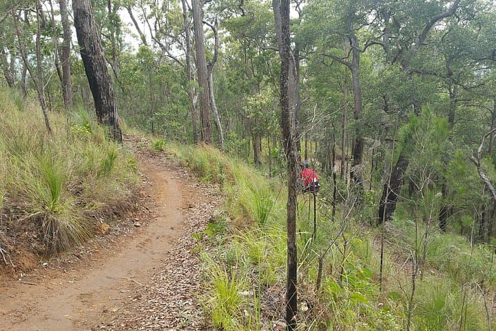 Self-Guided Mountain Bike Tours in Port Douglas — Rainforest Singletrack & Bump Track Descent photo 2