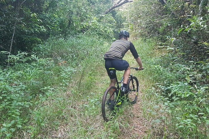 Self-Guided Mountain Bike Tours in Port Douglas — Rainforest Singletrack & Bump Track Descent photo 4
