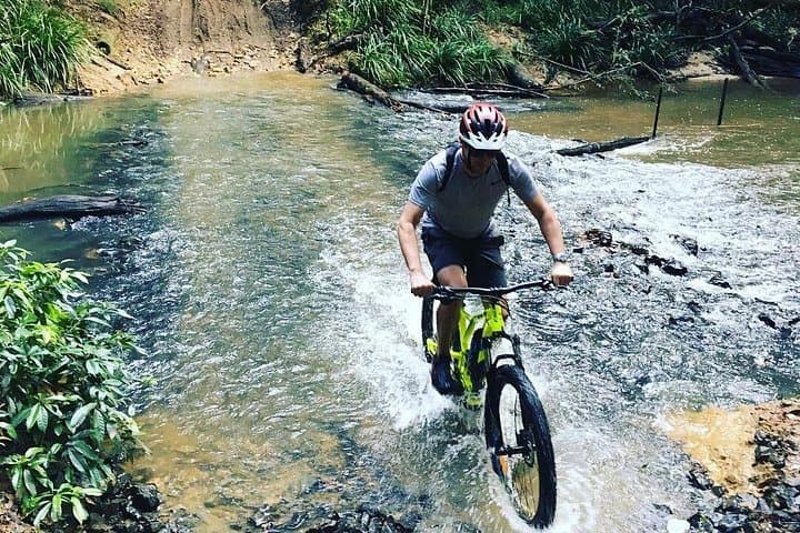 Self-Guided Mountain Bike Tours in Port Douglas — Rainforest Singletrack & Bump Track Descent photo 1