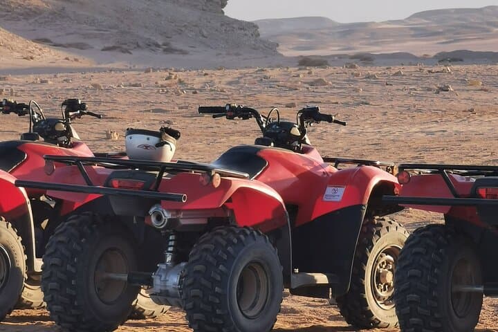 Full-Day Aquila Quad Bike Safari from Cape Town photo 4