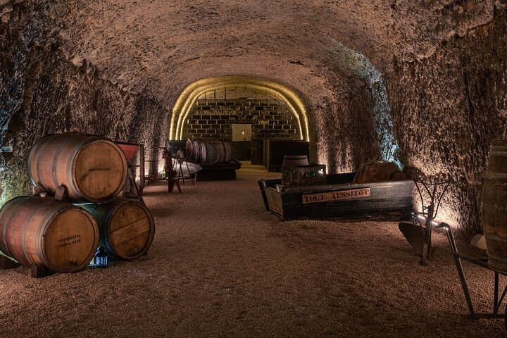 Loire Valley Day Tour: Chenonceau, Chambord & Vouvray Wine Tasting from Tours photo 6