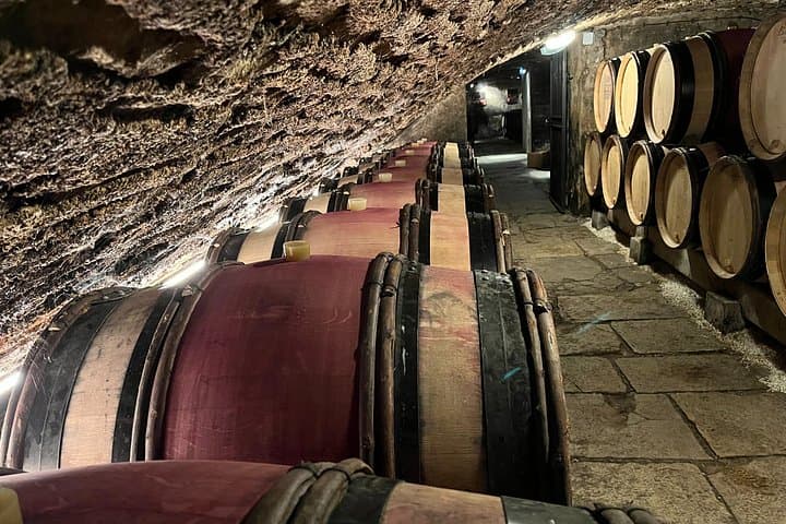 Burgundy Grand Crus Route Day Tour: 14 Wine Tastings from Beaune photo 4