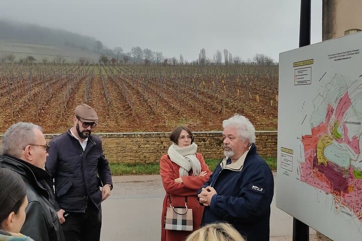 Burgundy Grand Crus Route Day Tour: 14 Wine Tastings from Beaune photo 2