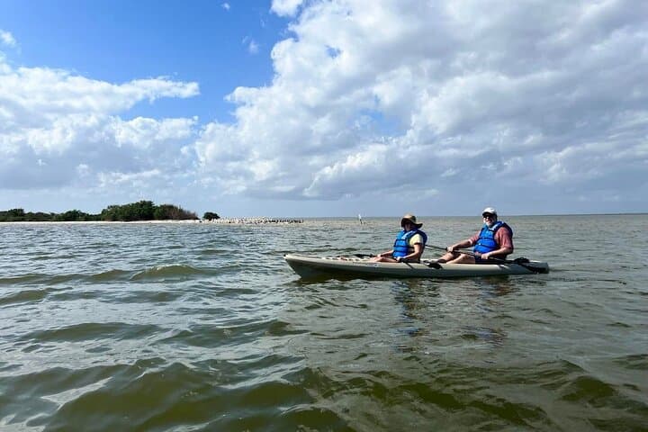 Space Coast Manatee & Coastal Wildlife Kayak Tour: Guided Paddle on the Indian River Lagoon
