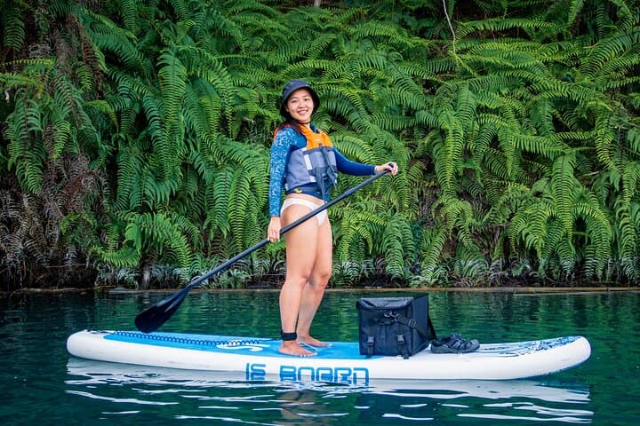Private Stand-Up Paddleboarding on Sun Moon Lake: Glide, Learn, and Capture the View photo 6