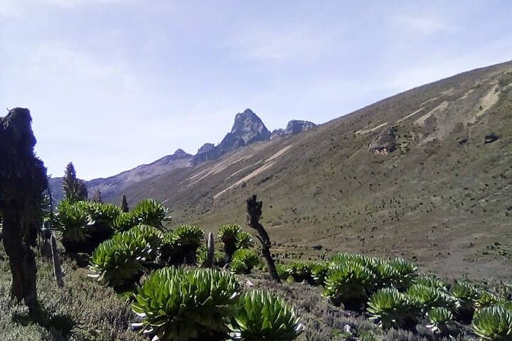 4-Day Mount Kenya Sirimon Route: Climb to Point Lenana via Judmier & Shipton Camps photo 6