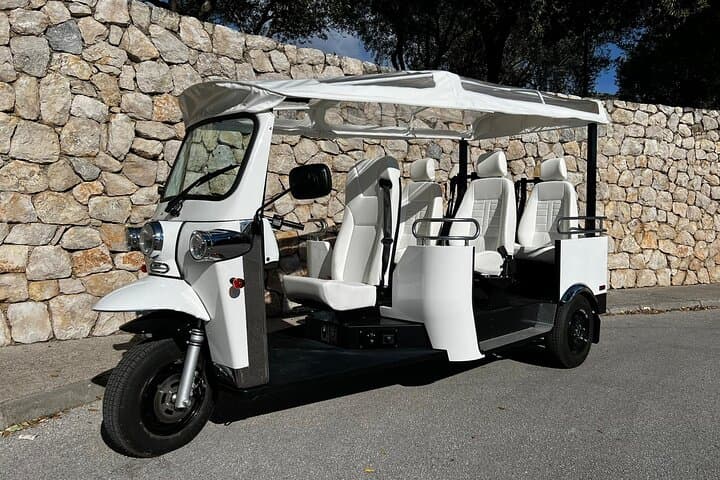 Mljet National Park Private E‑Tuk Tour from Polače photo 4