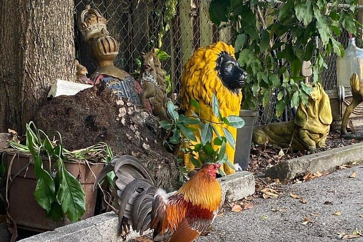 Explore Little Havana: 90-Minute Cultural Walking Tour with Cuban Coffee & Pastries photo 1