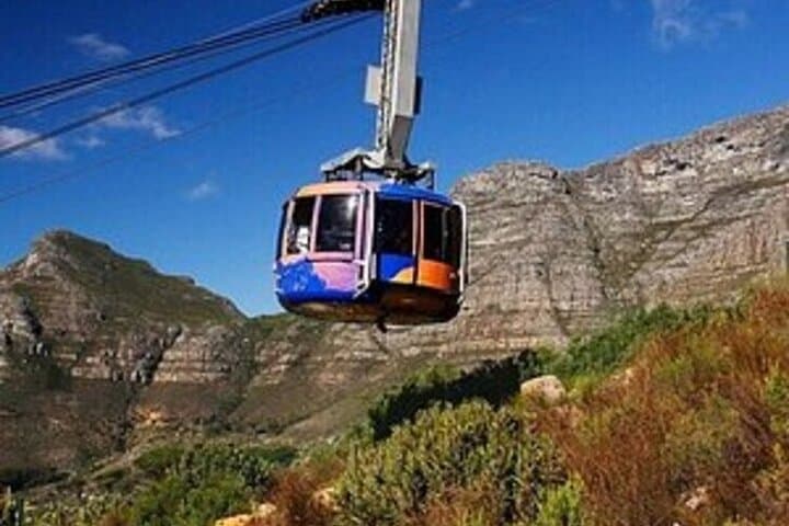 Cape Peninsula Private Tour: Table Mountain, Cape Point & Boulders Beach Penguins photo 3
