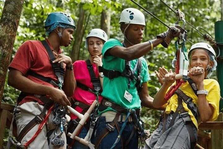 St Lucia Rainforest Canopy Zip Line Adventure at Castries Waterworks Reserve photo 5