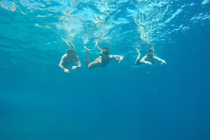 Snorkel Tijuca Islands: Whale Watching & Turtle Swim from Rio
