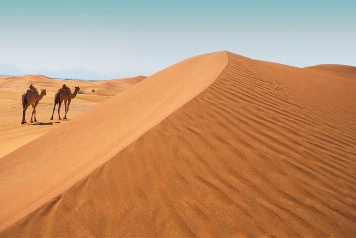 Evening Desert Safari Abu Dhabi — Dune Bashing, Sandboarding, Camel Rides & BBQ photo 4