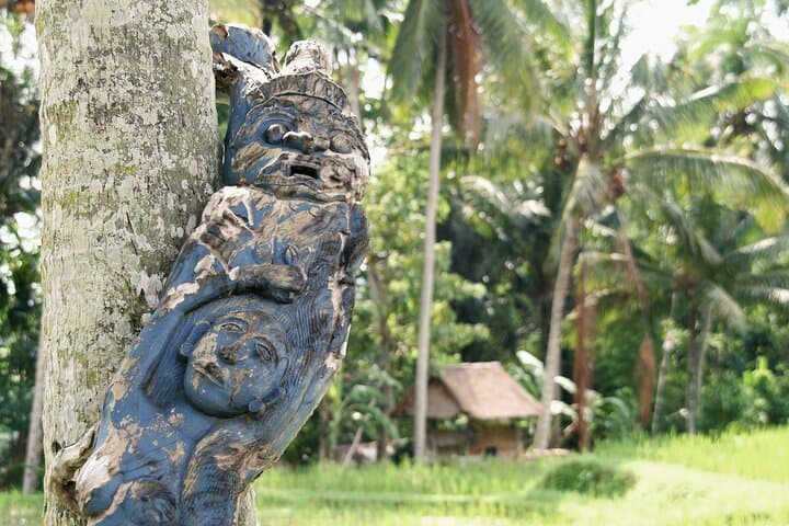 Ubud Explorer Private Day Tour: Rice Terraces, Waterfalls & Sacred Temples photo 3