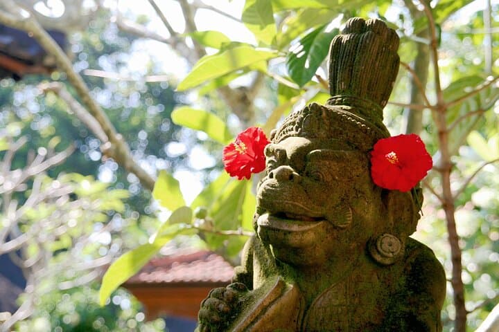 Ubud Explorer Private Day Tour: Rice Terraces, Waterfalls & Sacred Temples photo 6