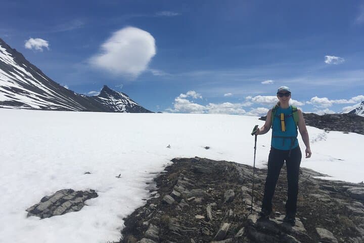 Wilcox Pass Hike: Columbia Icefield Views and Alpine Tundra in Jasper