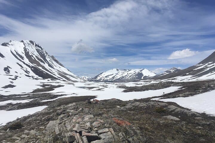 Wilcox Pass Hike: Columbia Icefield Views and Alpine Tundra in Jasper photo 3