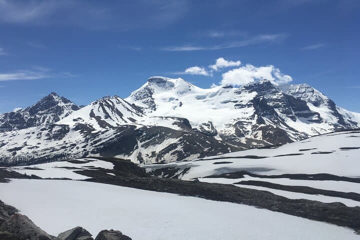 Wilcox Pass Hike: Columbia Icefield Views and Alpine Tundra in Jasper photo 4