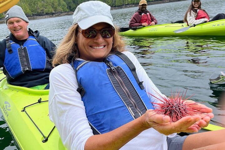 Explore Eagle Island by Sea Kayak: A Ketchikan Shore Adventure photo 5