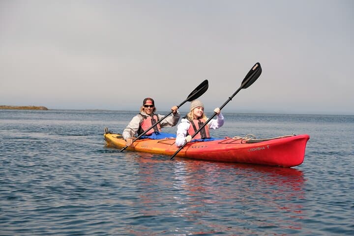 Explore Eagle Island by Sea Kayak: A Ketchikan Shore Adventure