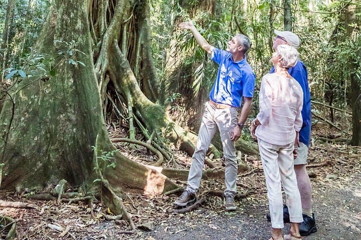 Sunshine Coast Hinterland Day Tour — Glass House Mountains, Maleny & Lakeside Lunch photo 4