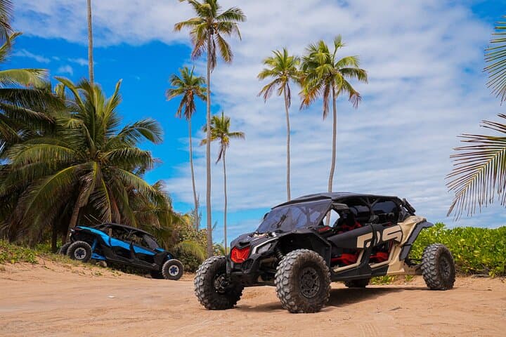 Drive a Can-Am UTV on a Loíza Beach Tour — 2-Hour Puerto Rico Coastal Adventure