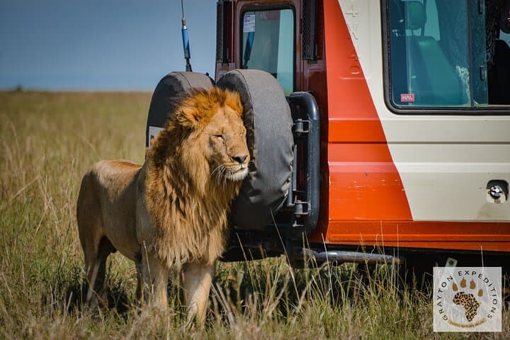 5-Day Masai Mara to Hell's Gate Budget Safari: Wildebeest, Flamingos & Rift Valley photo 3