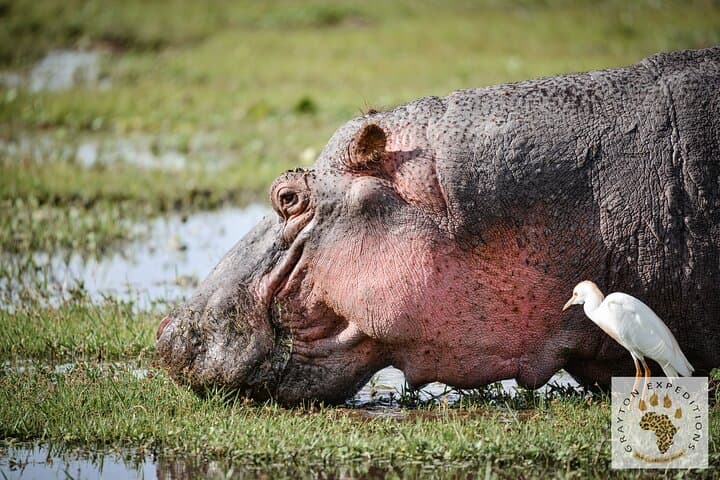 5-Day Masai Mara to Hell's Gate Budget Safari: Wildebeest, Flamingos & Rift Valley photo 5