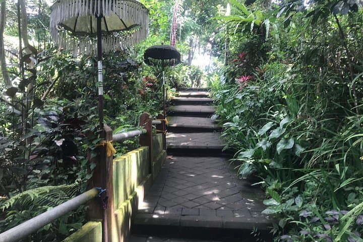 Purification Holy Bath at Beji Gria Waterfall — Sacred Cleansing Near Ubud photo 2