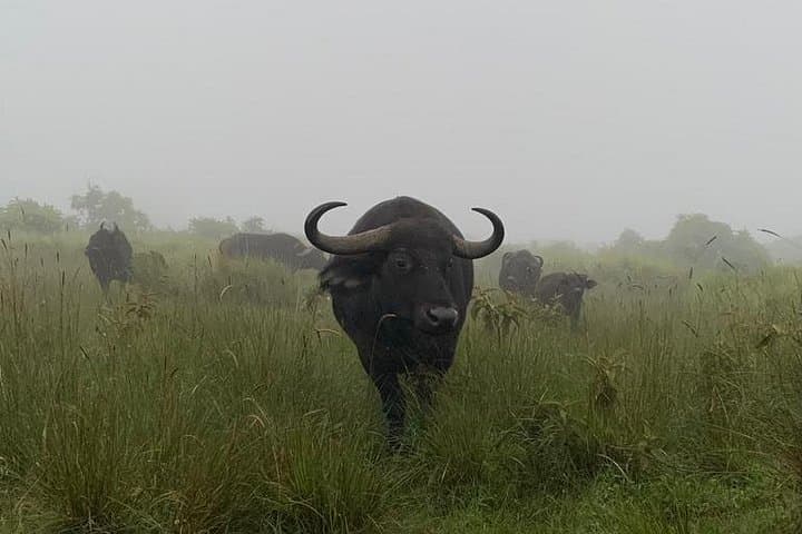 3-Day Serengeti and Ngorongoro Crater Camping Safari from Arusha photo 1