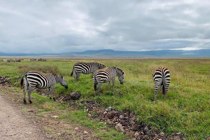 3-Day Serengeti and Ngorongoro Crater Camping Safari from Arusha photo 2